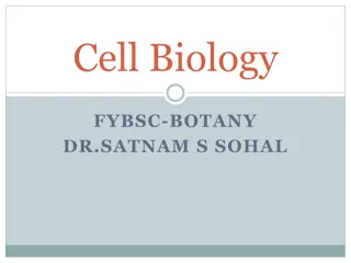 Plant Cell Walls: Structure and Function