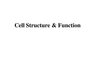 Cell Structure and Function