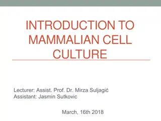 Basics of Mammalian Cell Culture