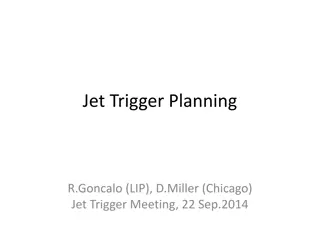 Progress Report on Jet Trigger Planning and Monitoring Discussion