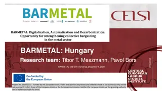 Industrial Relations in Metal Sector: Challenges and Opportunities