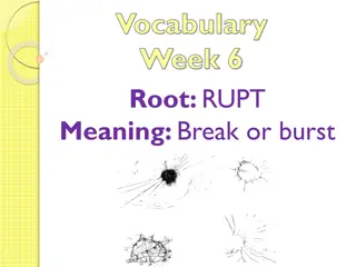 Vocabulary Week 6: Root 