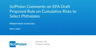 Evaluation of Phthalates Cumulative Risks: Expert Insights