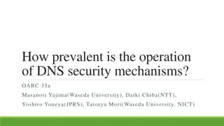 DNS Security Mechanisms