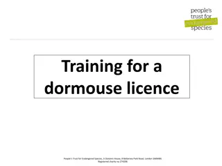 Dormouse Licence Training and Requirements