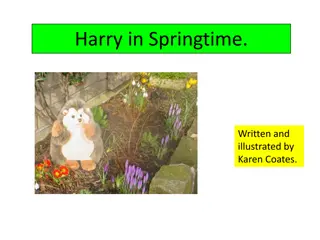 Harry in Springtime - A Delightful Journey through the Season's Blooms