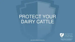 Protect Your Dairy Cattle from Diseases