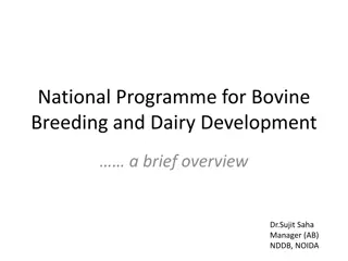 National Programme for Bovine Breeding and Dairy Development Overview