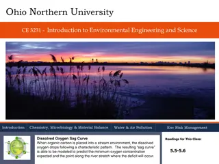 Dissolved Oxygen Sag Curves in Environmental Engineering