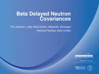 Insights into Beta-Delayed Neutron Covariances by Tim Johnson, Libby McCutchan, and Alejandro Sonzogni