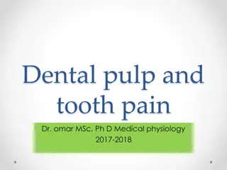 Dental Pulp and Tooth Pain: A Comprehensive Overview