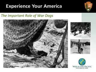 The Important Role of War Dogs in WWII