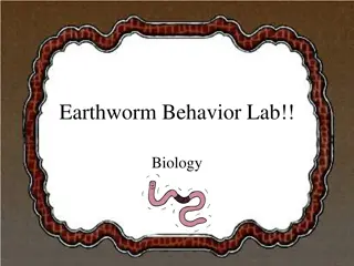 Earthworm Behavior Lab in Biology - Observations and Experiments