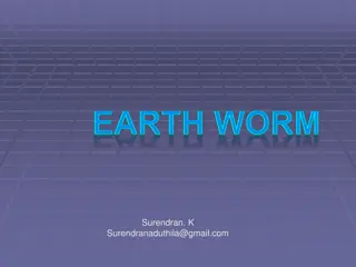 Fascinating World of Earthworms: An In-Depth Look