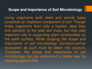 Scope and Importance of Soil Microbiology in Ecosystems