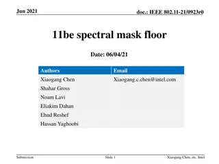 IEEE 802.11-21 Spectral Mask Floor Considerations