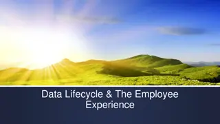 Enhancing Employee Experience Through Data: Insights from Exit Surveys