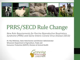 New Requirements for PRRS & SECD Testing in Swine