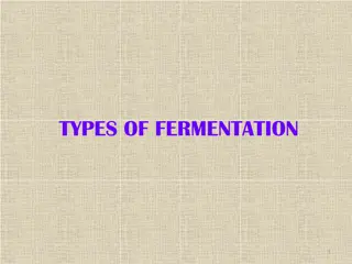 Overview of Different Types of Fermentation Processes