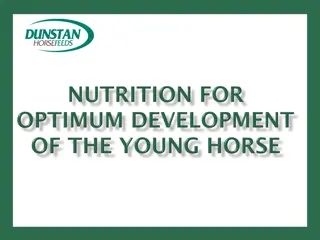 Nutritional Implications for Developmental Orthopaedic Diseases in Horses