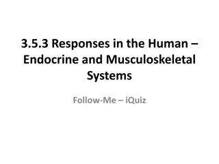 Understanding Responses in Human Endocrine and Musculoskeletal Systems