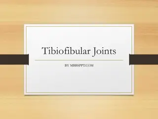 Understanding Tibiofibular Joints in Leg Anatomy