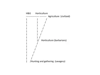 Evolution of Human Societies Through Cultural Practices and Artifacts