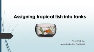 Solving the Tropical Fish Tank Assignment Puzzle