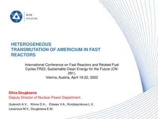 Heterogeneous Transmutation of Americium in Fast Reactors: Burning for Sustainable Energy