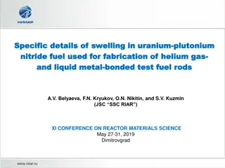 Investigation of Swelling in Uranium-Plutonium Nitride Fuel for Helium Gas Fabrication and Liquid Metal-Bonded Test Fuel Rods