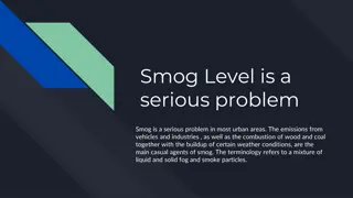 Understanding the Impact of Smog on Health and Environment