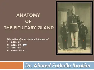 The Pituitary Gland: Anatomy, Functions, and Disorders