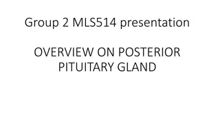 The Posterior Pituitary Gland and Its Hormones