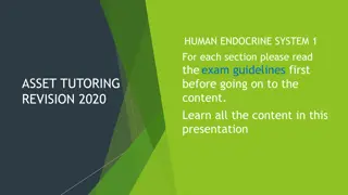 Overview of the Human Endocrine System