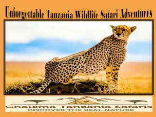 Unforgettable Tanzania Wildlife Safari Adventures