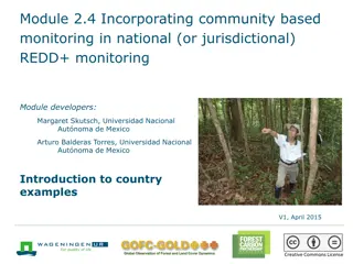 Community-Based Monitoring in REDD+ Programs: Lessons and Implementation