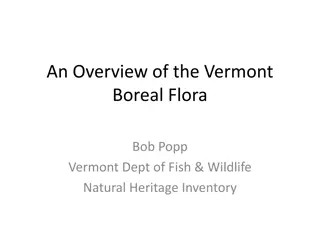 Rediscovery and Extirpation of Vermont Boreal Flora