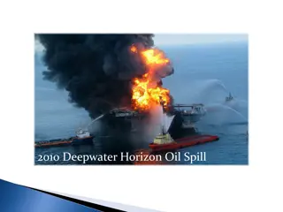 Management of Funds from the 2010 Deepwater Horizon Oil Spill in Texas