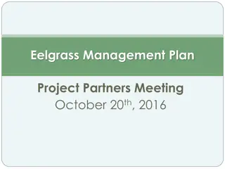 Eelgrass Management Plan Project Overview