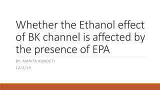 The Impact of EPA on Ethanol Effect of BK Channel