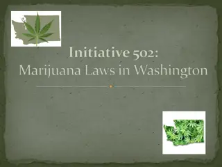 Marijuana Laws in Washington State