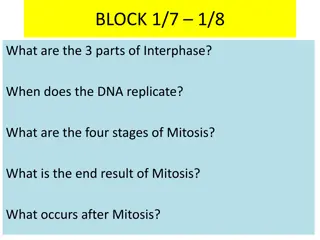 Genetics and Cell Division Study Guide