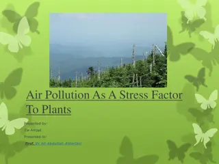 Air Pollution Stress on Plants