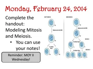 Genetics: Mendel's Experiments and Inheritance Patterns