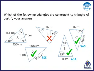 Exploring Triangle Similarity and Congruence