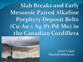 Geology and Magmatism in Canadian Cordilleran Terranes