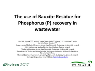 Utilization of Bauxite Residue for Phosphorus Recovery in Wastewater