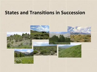 Plant Community Succession and Ecological Transitions