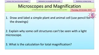 Microscopes: Parts, Functions, and Advancements