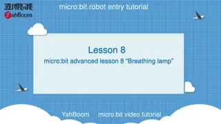 Micro:bit Robot Entry Tutorial - Advanced Lesson on Breathing Lamp with YahBoom (80 characters)